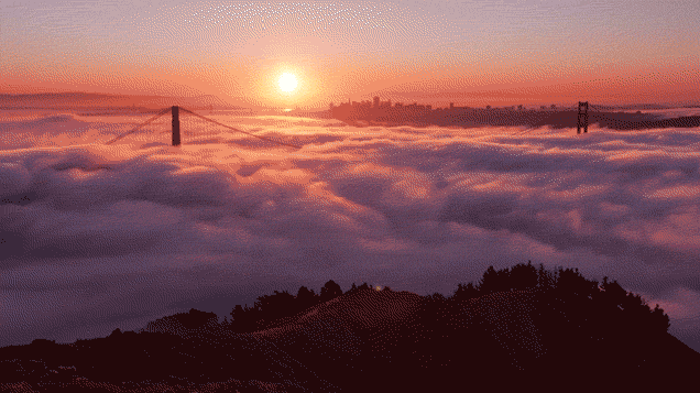 Foggy Morning GIF