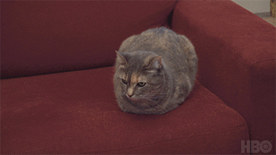 New York Comedy GIF by HBO