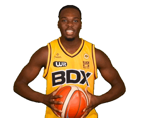 Basketball Basket Sticker by JSABMB