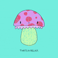 Happy Good News GIF