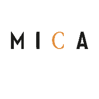 micaacademy academy mica wella parrucchieri Sticker