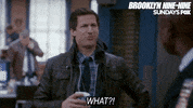 nbc GIF by Brooklyn Nine-Nine