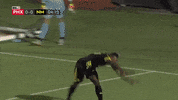 Romeo Parkes Puma GIF by New Mexico United
