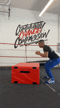 quinitboxing  GIF