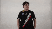 Just Stop Rocket League GIF by G2 Esports