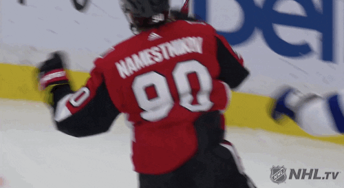 Celebrate Ice Hockey GIF by NHL