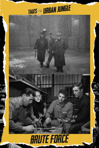 Burt Lancaster Film Noir GIF by Arrow Video