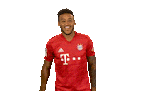 Happy Fc Bayern Sticker by Bundesliga