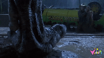 GIF by Vidiots