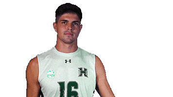 Rainbow Warriors Point Sticker by Hawaii Athletics