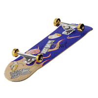 skate skateboard Sticker by Nike