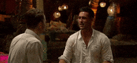 season 3 abc GIF by Bachelor in Paradise