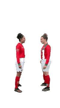 Haarlem Sticker by DSS Voetbal