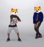 Fun Crypto GIF by Baby Doge Coin