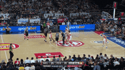 GIF by NBL
