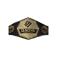QadyaMMA mma boxing belt qadya Sticker