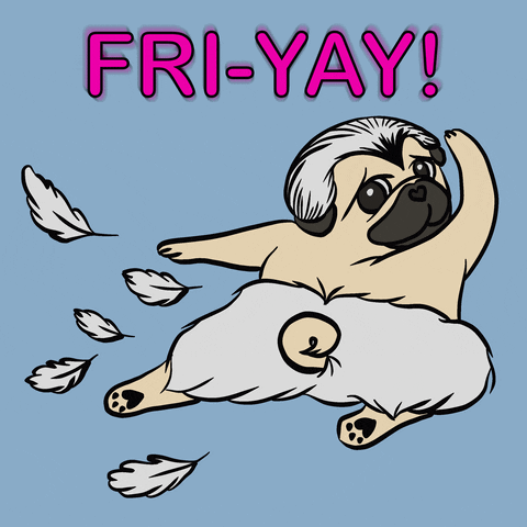 Digital art gif. A pug with a wig and a feather diaper is leaping through the air and feathers fly out behind it. Text, "Fri-yay!"