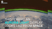 news space GIF by NowThis 