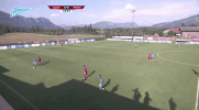 fczenit  GIF