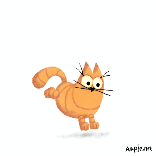 Cat Animation GIF by aap