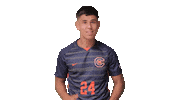 Dance Sticker by Carson-Newman Athletics