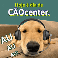 sicoobprimaveramt sicoob primavera caocenter GIF