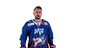 Fohrler Sticker by Adler Mannheim