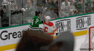 Ice Hockey Sport GIF by NHL
