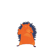 Rainbow Gay Sticker by namecheap