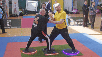 Tuishou World Cup