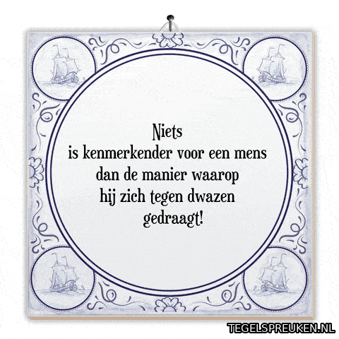 Reflectie Grijns GIF by Tegelspreuken.nl