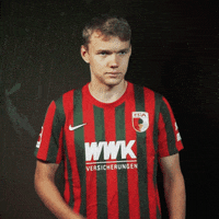 Bundesliga Gunther GIF by FC Augsburg 1907