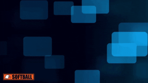 Carson Newman X GIF by Carson-Newman Athletics
