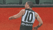 Australian Football League GIF by Port Adelaide FC