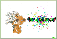 Teddy Bear Love GIF