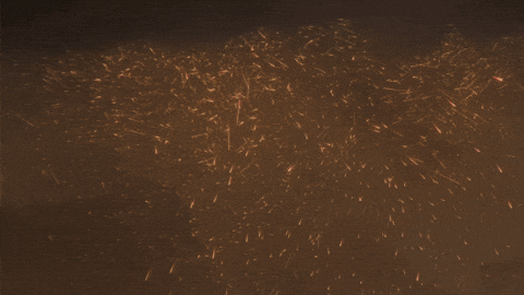 Sara Sanjay GIF by Jio Studios