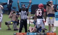 2018 Nfl Football GIF by NFL