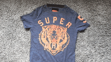 travel adventure GIF by Digg