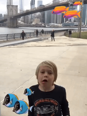 framebeta GIF by StevieTurnsOne
