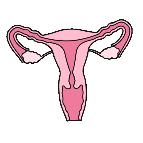 Uterus Sticker by Natural Cycles