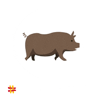 Jamon Jamoniberico Sticker by alimentosdespana