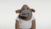 Video gif. A monkey puppet opens its mouth wide in shock, looks left and right, and ducks.