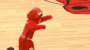benny the bull nba GIF by Chicago Bulls