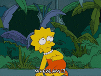 Scared Lisa Simpson GIF by The Simpsons
