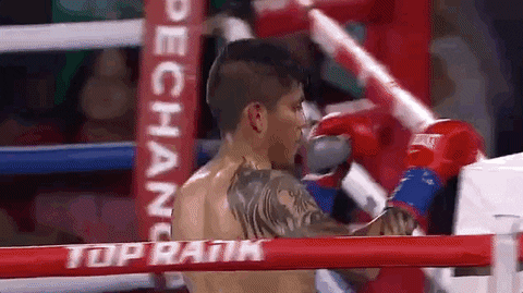toprank giphyupload fight boxing fighting GIF