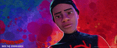 Spider-Man GIF by Spider-Man: Into The Spider-Verse