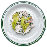 Salad Lobster Sticker by Major Food Group