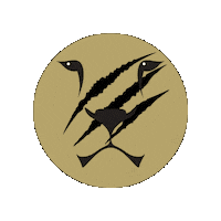 Football Athletics Sticker by Lindenwood University