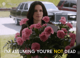 Schitts Creek Comedy GIF by CBC