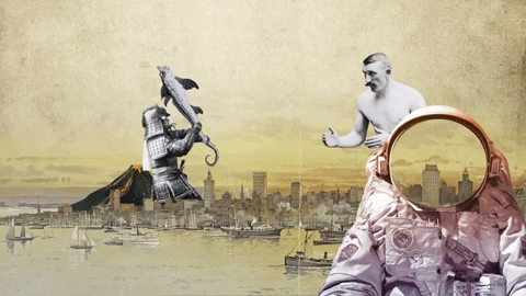 fehér nyúl világa GIF